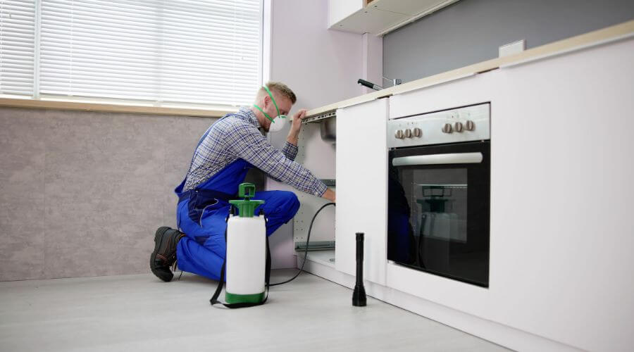 Why choose Organic Pest Control Randall for organic pest control in Randall